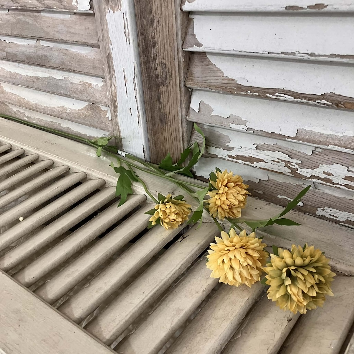 Miriam Yellow Mums 23" Stems