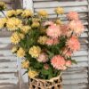 Miriam Mums 23″ Stems Miriam Mums 23" Stems