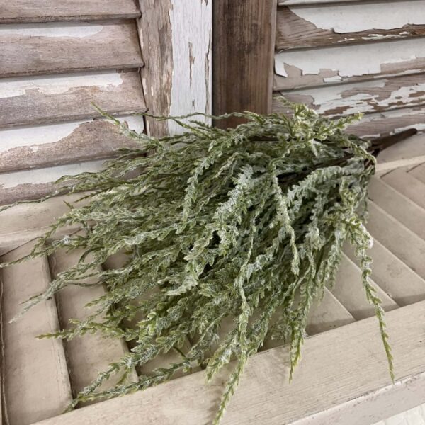 Ever After Sage Greenery Bush