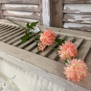 Miriam Sorbet Mums 23" Stems