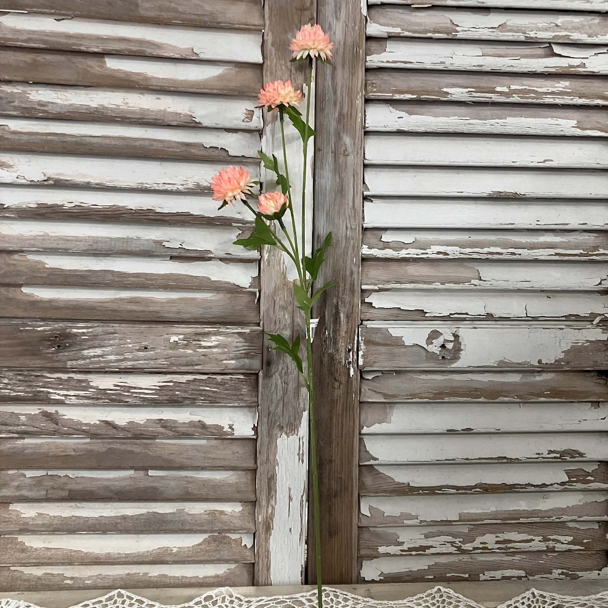 Miriam Sorbet Mums 23" Stems