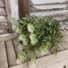 Thimble Buds Cream and Greenery Bush Thimble Buds Cream and Greenery Bush
