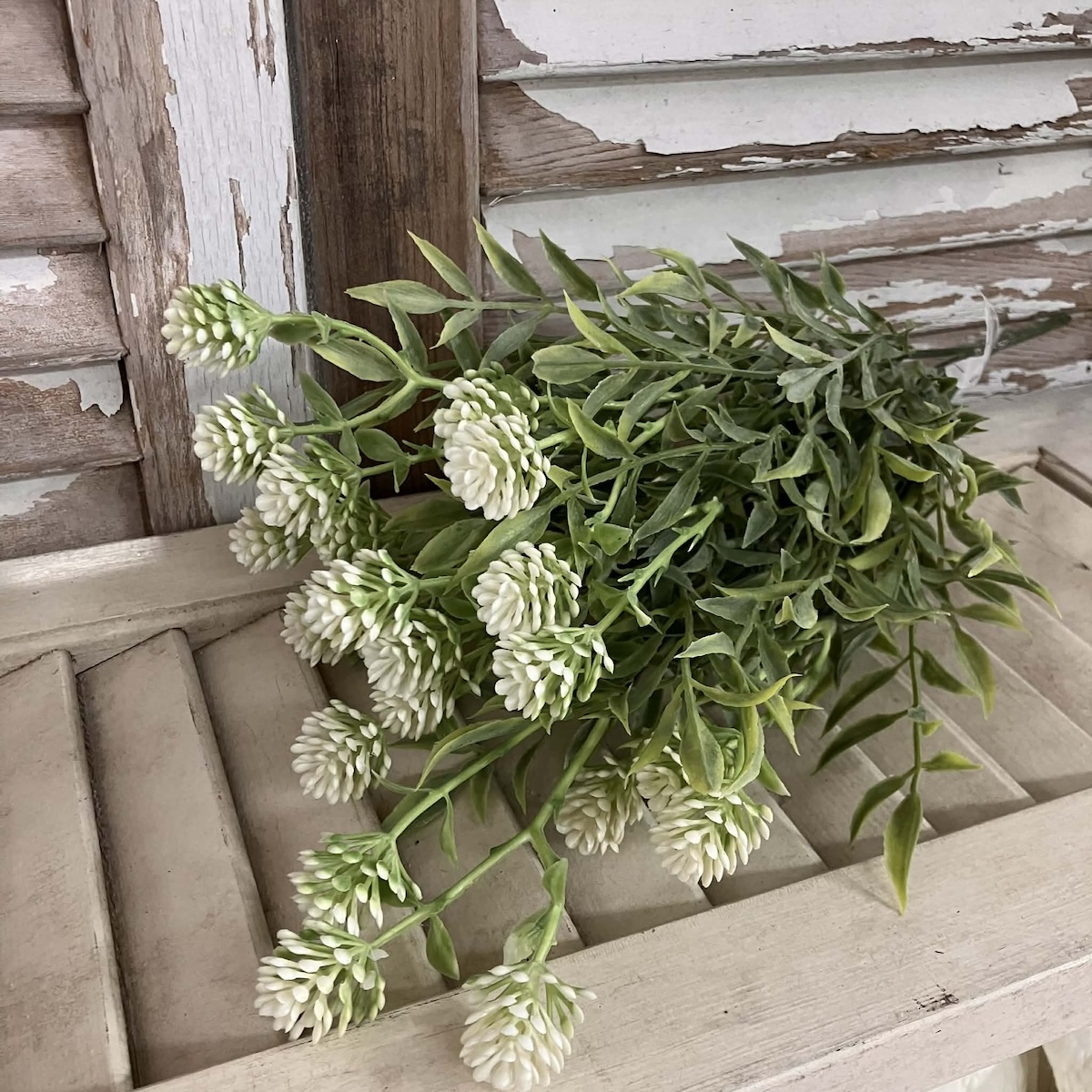 Thimble Buds Cream and Greenery Bush