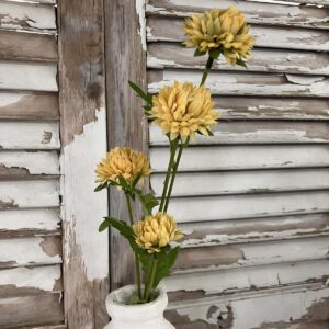 Miriam Yellow Mums 23" Stems