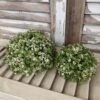 Elfin White Blooms and Greenery Regular and Small Half Spheres Elfin White Blooms and Greenery Regular and Small Half Spheres