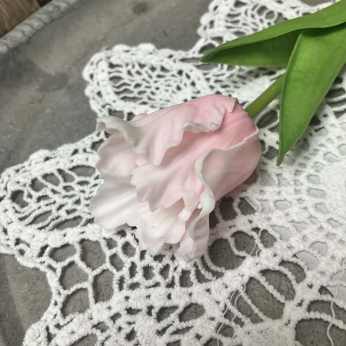 Single Stem Pale Pink Ruffled Tulip