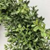 New England Boxwood Greens Large Wreath