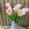 Set of 6 Pale Pink Ruffled Tulips Set of 6 Pale Pink Ruffled Tulips