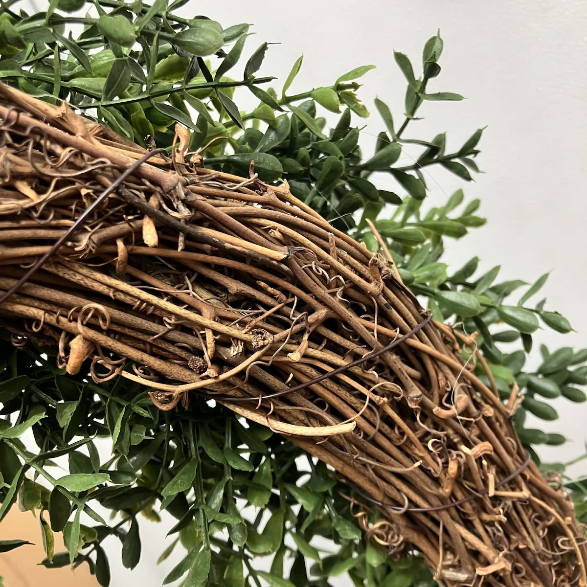 New England Boxwood Greens Large Wreath