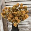 Russet Golden Cones Bush in Black Vase