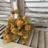 Russet Golden Cones Bush