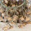 Flaxen Floret Fall Foliage Candle Ring Decor