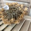 Flaxen Floret Fall Foliage Decor Half Sphere