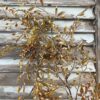 Ambermist Sage Earthtone Faux Fall Foilage Garland on Shutters