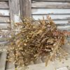 Ambermist Sage Earthtone Faux Fall Foilage Large Bush Close Up