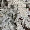 Snowy Hemingway Faux Fir Hanging Wreath