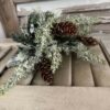 Iced Calgery Bush in Black Vase