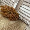 Sienna Hollow Faux Foliage Bush